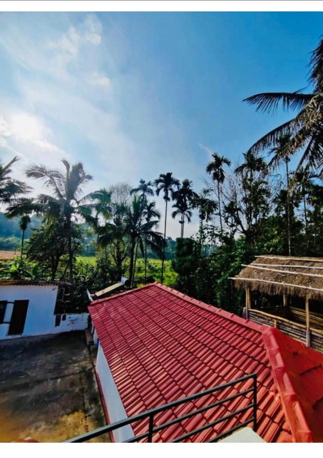 Streaming Valley Independent Coffee Estate Stay Madikeri Εξωτερικό φωτογραφία