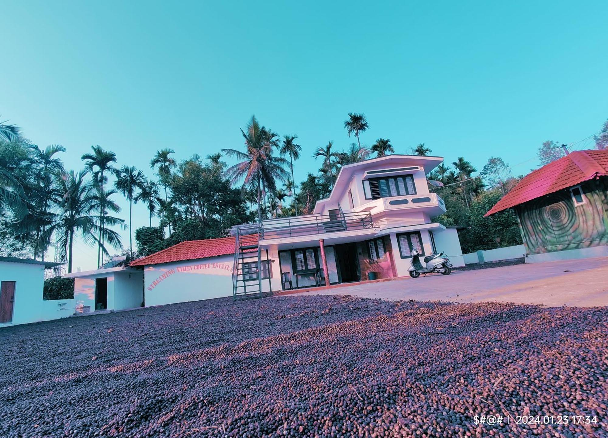 Streaming Valley Independent Coffee Estate Stay Madikeri Εξωτερικό φωτογραφία